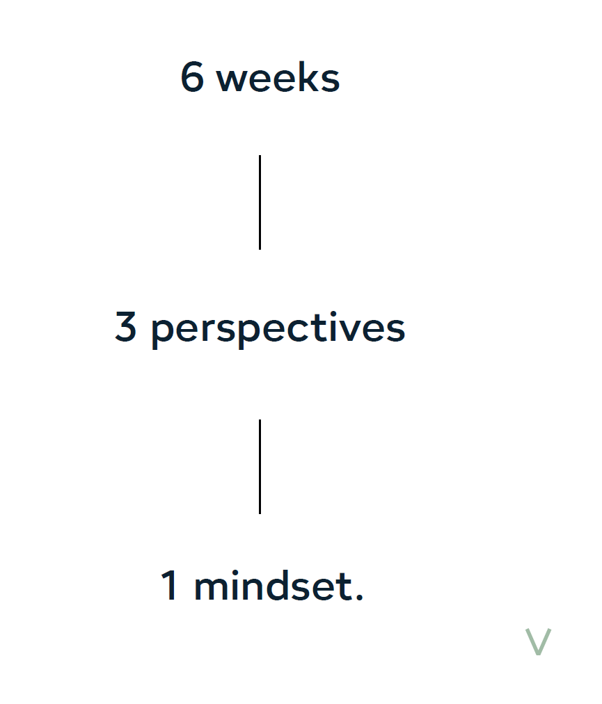 6wochen-3perspektiven-1mindset